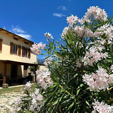 Appartamento Locazione Turistica L'Antica Sorgente ปานิกาเล ภายนอก รูปภาพ