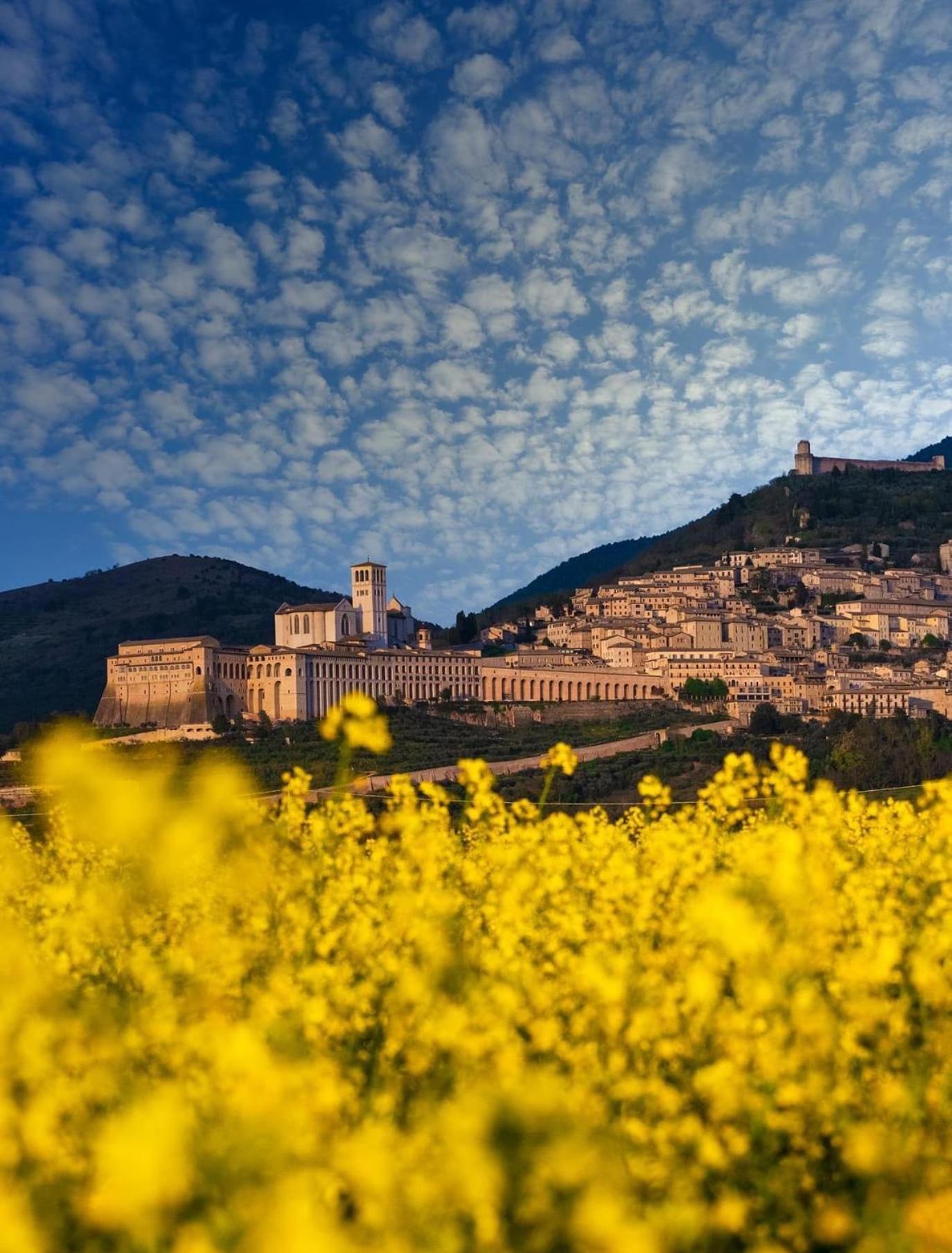 Appartamento Locazione Turistica L'Antica Sorgente ปานิกาเล ภายนอก รูปภาพ