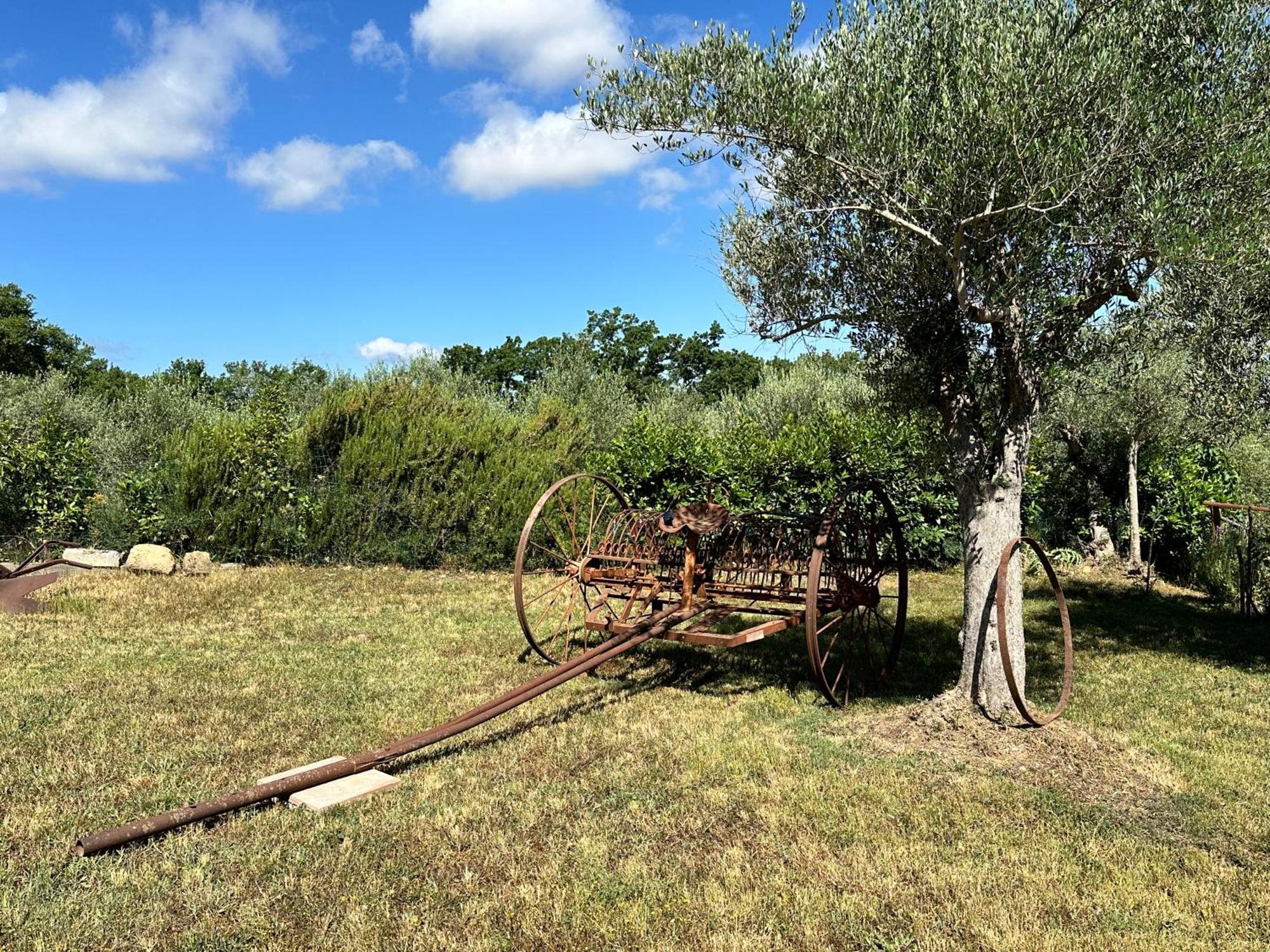 Appartamento Locazione Turistica L'Antica Sorgente ปานิกาเล ภายนอก รูปภาพ
