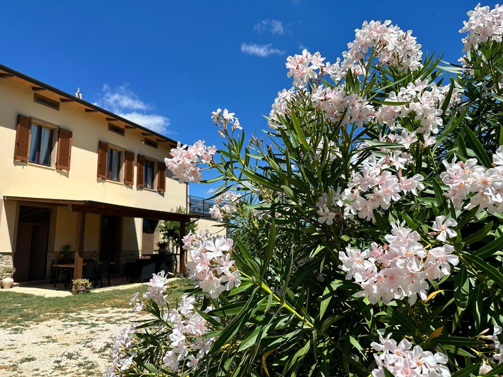 Appartamento Locazione Turistica L'Antica Sorgente ปานิกาเล ภายนอก รูปภาพ