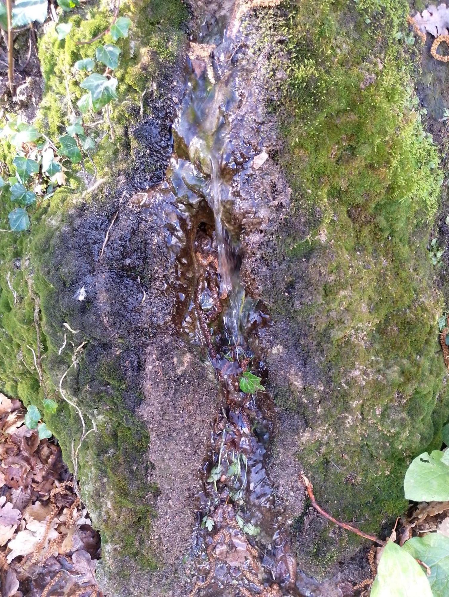 Appartamento Locazione Turistica L'Antica Sorgente ปานิกาเล ภายนอก รูปภาพ